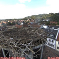 15_40-nest.jpg
