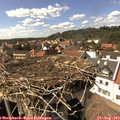 15_45-nest.jpg