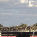 15_50-mast.jpg