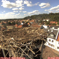 15_50-nest.jpg