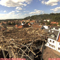 15_55-nest.jpg
