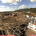 16_00-nest.jpg