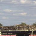 16_05-mast.jpg