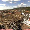 16_05-nest.jpg