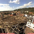 16_10-nest.jpg