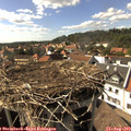 16_15-nest.jpg