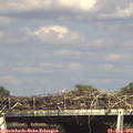 16_20-mast.jpg
