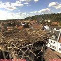 16_20-nest.jpg