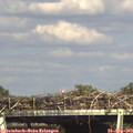 16_25-mast.jpg