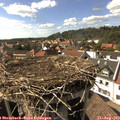 16_25-nest.jpg