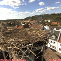 16_30-nest.jpg