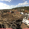 16_35-nest.jpg