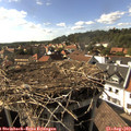 16_40-nest.jpg