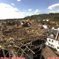 16_45-nest.jpg