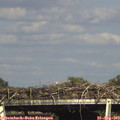 16_50-mast.jpg