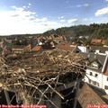 16_50-nest.jpg