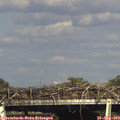 17_00-mast.jpg