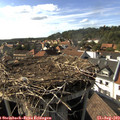 17_00-nest.jpg