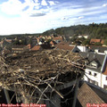 17_05-nest.jpg