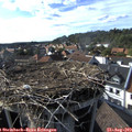 17_15-nest.jpg