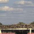 17_35-mast.jpg