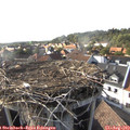 17_40-nest.jpg