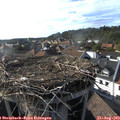 17_45-nest.jpg