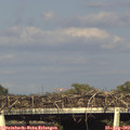 17_50-mast.jpg