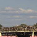 18_00-mast.jpg