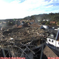 18_05-nest.jpg