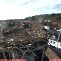 18_10-nest.jpg
