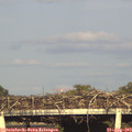 18_15-mast.jpg