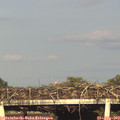 18_25-mast.jpg