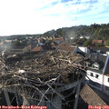 18_25-nest.jpg