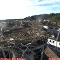 18_30-nest.jpg