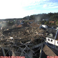 18_35-nest.jpg