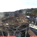 18_40-nest.jpg