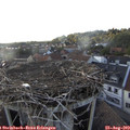 18_45-nest.jpg