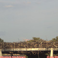 18_50-mast.jpg