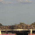 18_55-mast.jpg