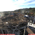 18_55-nest.jpg