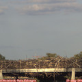 19_05-mast.jpg