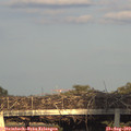 19_15-mast.jpg