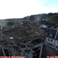 19_20-nest.jpg