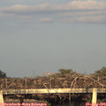 19_25-mast.jpg