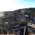19_30-nest.jpg