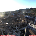 19_35-nest.jpg