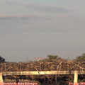 19_40-mast.jpg