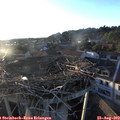 19_40-nest.jpg