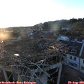 20_00-nest.jpg